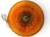 an orange glass bowl with a sprinkle on it