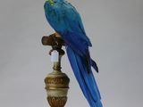 a blue and yellow parrot sitting on top of a gold vase