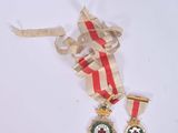 two medals and a ribbon on a white surface