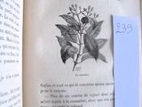 une image représentant un livre ouvert sur lequel figure l'image d'une plante