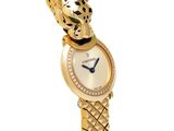 an image of a woman ' s wrist watch with a leopard face