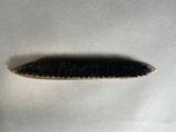 a close up of a toothbrush on a table with a white background