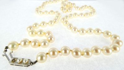 pearl necklace with silver clasp and clasp on a white background