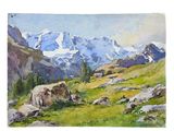 watercolor painting of a mountain landscape with rocks and grass