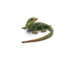 a small lizard that is sitting on a white surface
