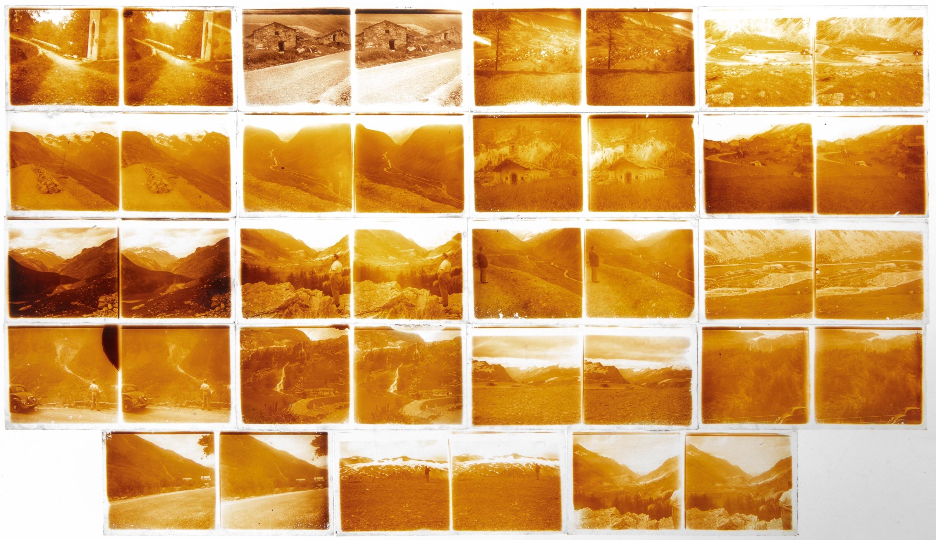 Objets d'art & Curiosités