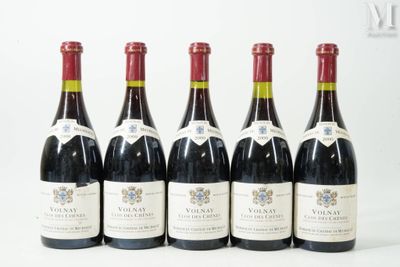 six bouteilles de vin sont alignées sur une surface blanche