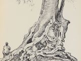 dessin au crayon représentant un garçon assis sous un arbre, regardant le tronc