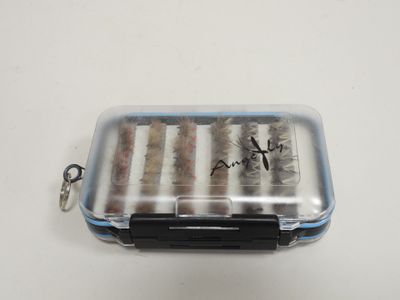une petite boîte en plastique contenant un tas de poissons