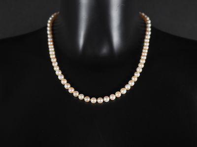 a pearl necklace on a mannequin mannequin mannequin mannequin mannequin mannequin mannequin mannequin mannequin