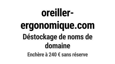 Nom de domaine oreiller-ergonomique.