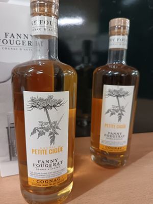 deux bouteilles d'alcool posées l'une à côté de l'autre sur une table