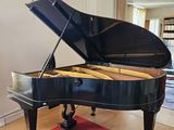 a grand piano in the middle of a living room