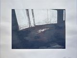 an image of a painting of a window with a cat on the floor