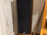 a plant that is sitting on top of a speaker