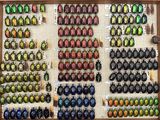 a lot of beetles that are on display in a display case