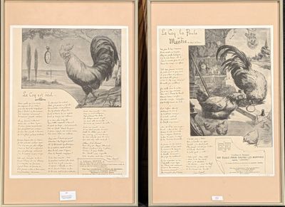 deux images représentant un coq et une poule sur la même page