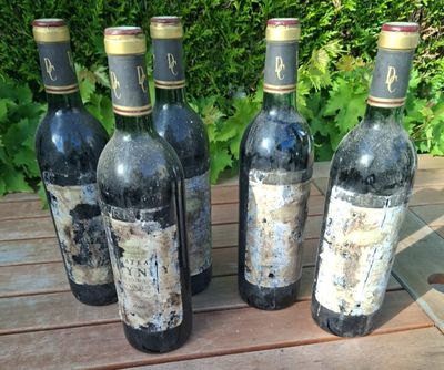 six bottles of wine sitting on a wooden table in front of a bush