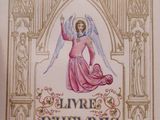 the front cover of a book with an angel on it