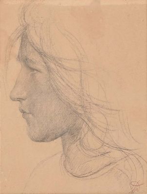 drawing of a woman ' s head with long hair in profile