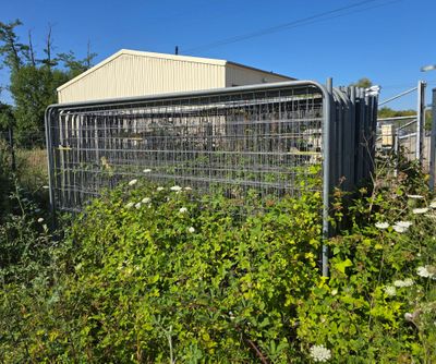 a fence that has a bunch of plants growing inside of it