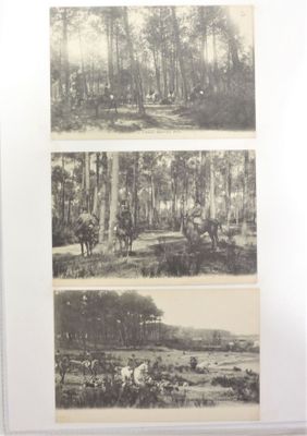 deux photographies en noir et blanc représentant une forêt avec des chevaux et des personnes