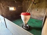 des toilettes au milieu d'une pièce au sol vert