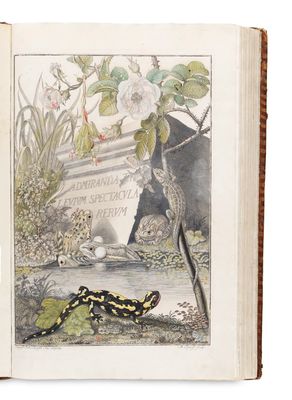 un livre ouvert sur lequel figure l'image d'un serpent et un serpent