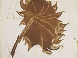 drawing of a leaf on a piece of paper on a table