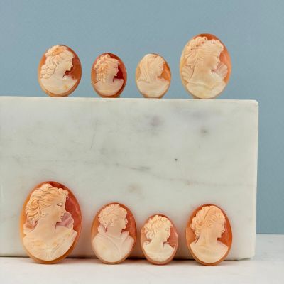 une image représentant un bloc de marbre sur lequel sont sculptés six types différents de camées