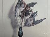 a picture of a bird hanging on a wall