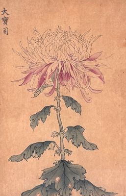 une image représentant un tableau représentant une fleur avec des feuilles