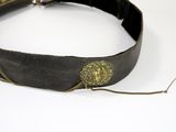 a black belt with a gold medallion on it