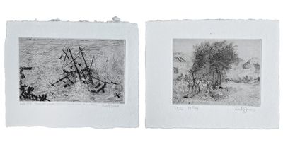 deux photos en noir et blanc représentant un champ avec un arbre et une maison