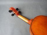 a close up of a violin that is laying on the ground