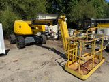 une grue jaune posée dans la terre