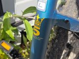 a close up of a blue bicycle parked on the side of the road