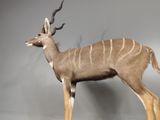 a statue of an antelope standing on a pedestal