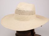 une image représentant un chapeau de paille posé sur un support en bois, sur fond blanc