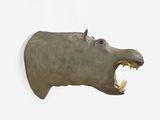 a fake animal head mounted on the wall of a room