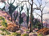 peinture représentant un paysage avec des arbres et des rochers au premier plan
