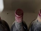 bottles of wine are lined up in a row on a counter