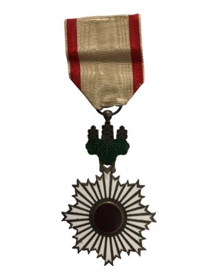 une image représentant une médaille sur laquelle figurent une croix et une étoile
