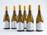 five bottles of white wine lined up on a white surface