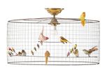 a lot of birds that are sitting in a cage