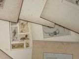 a lot of old books with drawings on them