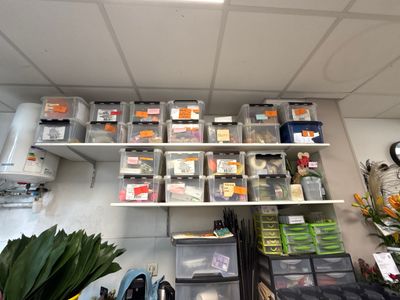 a room with a lot of boxes and containers on the shelves