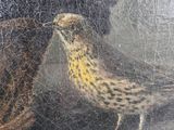 two birds that are standing next to each other