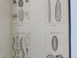 an open book with illustrations of different types of plants and animals