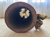 a small turtle that is sitting inside of a pipe